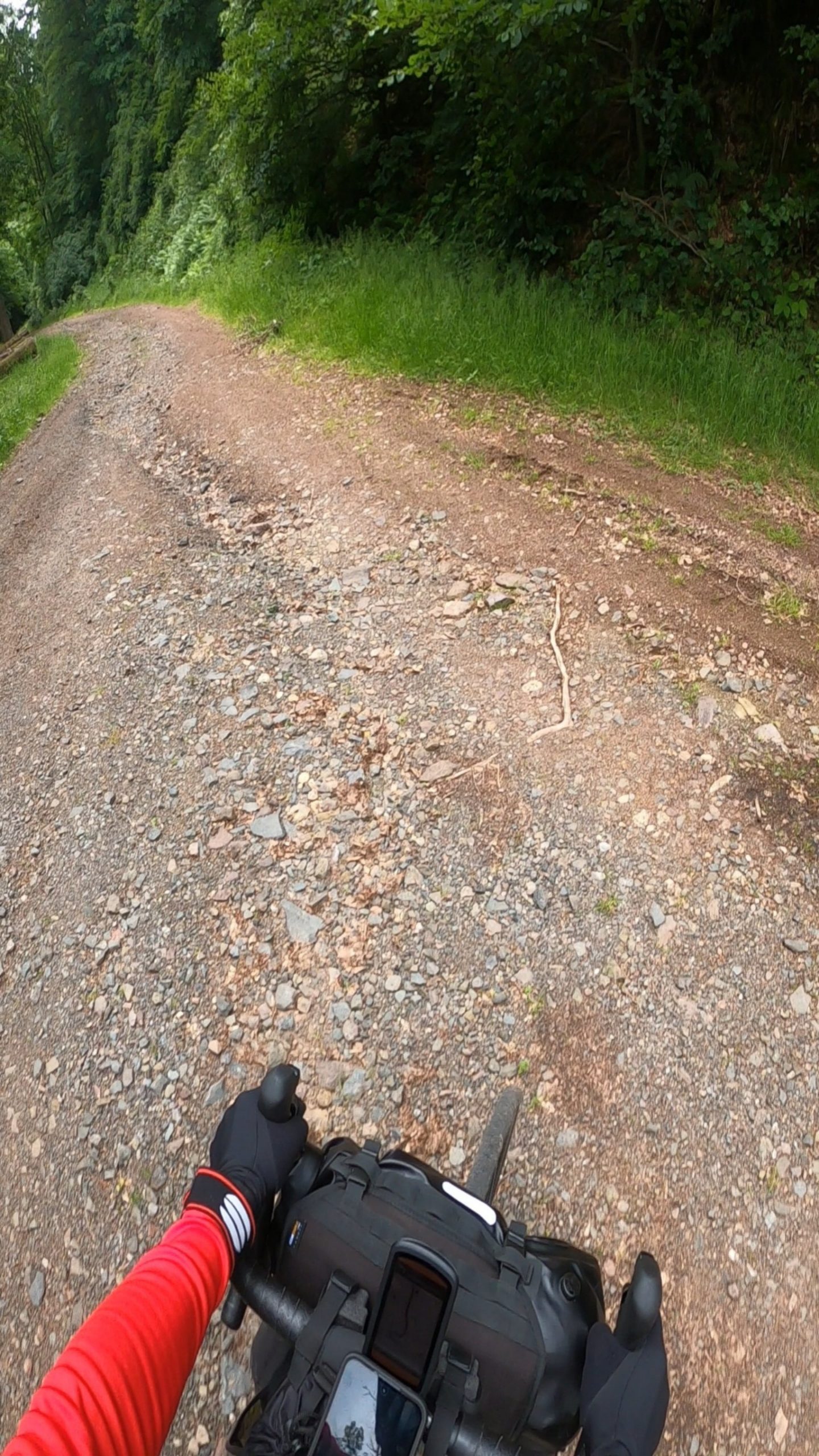 Day 4: Road bike to a gunfight