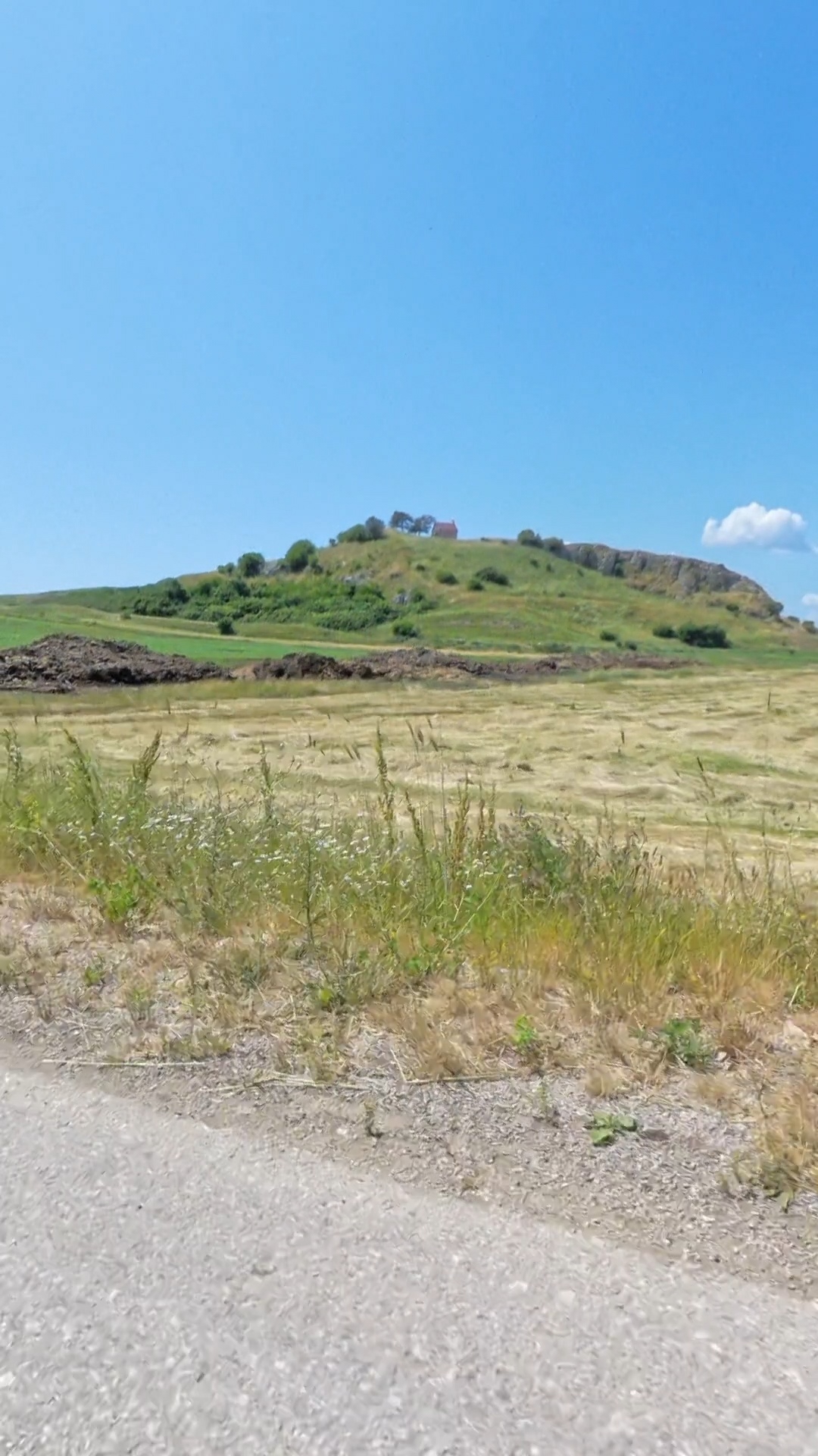 Day 10: The art of strategic retreat (or how I learned to stop worrying and love half-days)